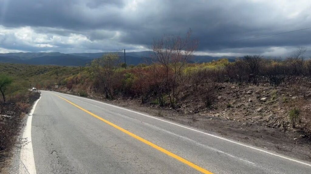 large_quema_taludes_carretera2_7dd3dca32f